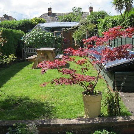 Perfect For Petersfield B&B Exterior foto