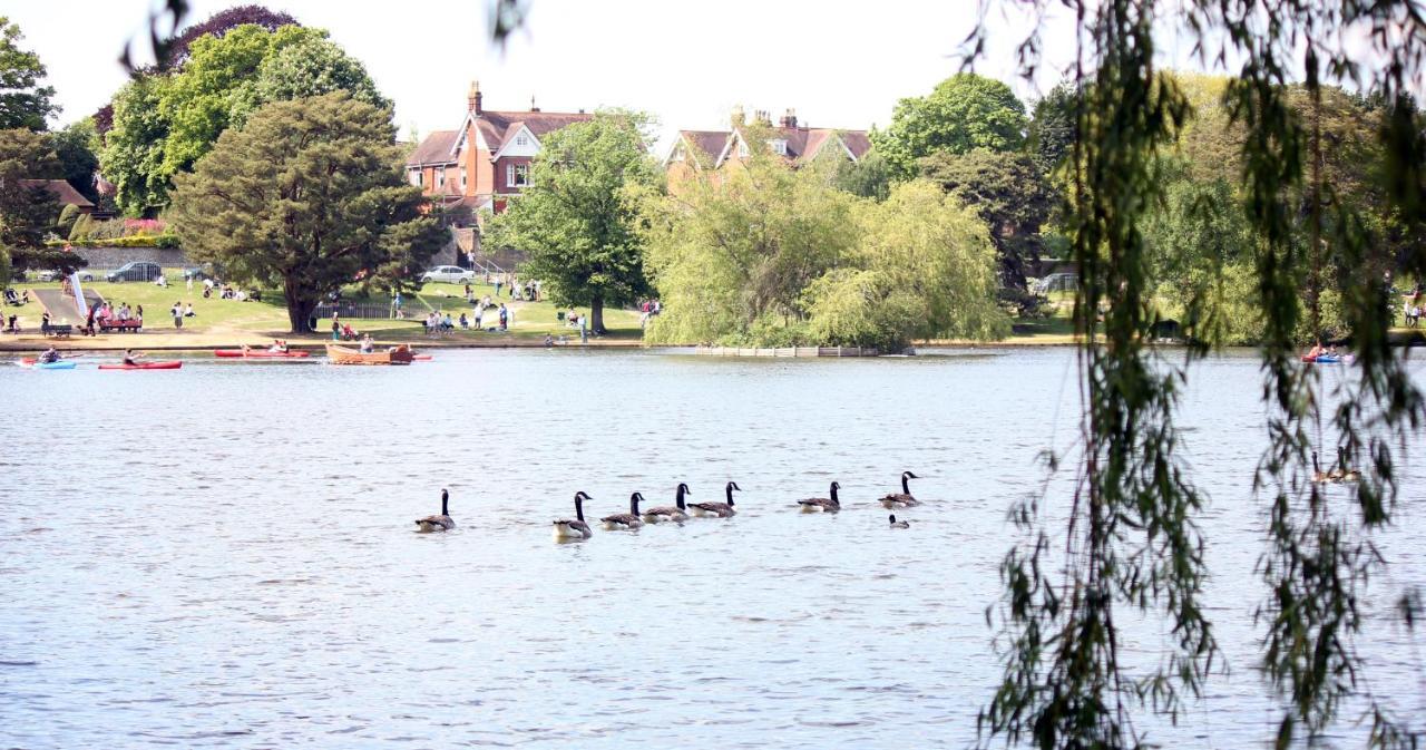 Perfect For Petersfield B&B Exterior foto